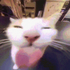 Avatar for JohnyTheCarrot