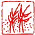 Avatar for Naoto_h