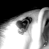 Avatar for chouchou89
