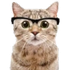 Awatar dla canscrat