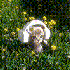 Avatar di greyware_n