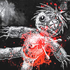 Avatar for arcynum