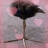 waterfruit için avatar