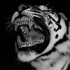 Avatar for IsavarAIV