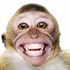 Avatar for Enorel