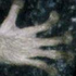 Avatar di lemurfingers