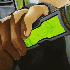 Avatar di H34v3N1