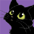 Avatar for deilephila