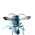 Avatar for cherrywaves1207