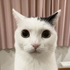 Avatar for blinf