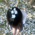 Avatar for lasa_caleche