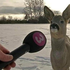 Avatar for pickupdaphone