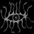 Avatar for XVI Eyes