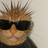liype için avatar