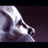 Avatar for Fogfighter
