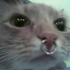 Avatar for PiNiPoM_