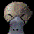 platapus8 için avatar