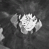Avatar for Singularity96