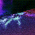 Avatar di devpr