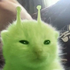 Avatar for qingwajiao