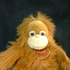 Avatar di baronagon