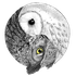 Avatar for SoyKarma