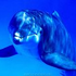 Avatar di tuturlucabaret
