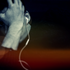 Avatar for GJDDuque