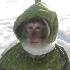 Avatar for kalynprince