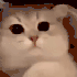 Avatar for Fookstee