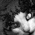 Avatar for EyEstyE