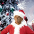 Avatar di marvin_freak