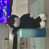 Avatar for lucky_cat4227