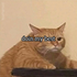 Avatar di renl3y