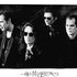 Avatar di The Mission UK