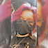 Avatar for Thembo3264