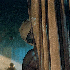 Avatar di bucbucowski