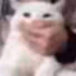 Avatar für imjey