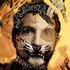 Avatar für SarasotaTheBand