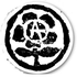 Avatar for dzemek