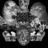 Avatar for Blood Splattered Babies