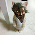 Avatar di TheRealSaepe69