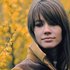 Avatar for Francoise Hardy