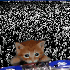 Avatar für b7cklys