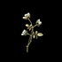 Avatar for ManeSteIIa