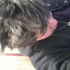 Avatar di xxxkaz