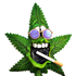 Avatar de TheDarkSide04