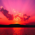 Avatar for Salixaurita