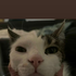 Avatar for kmkrl
