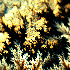 Awatar dla design_ulitka